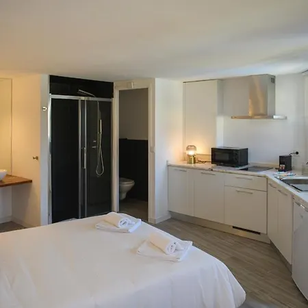 Casa Dos Caneiroas Holiday home Amarante